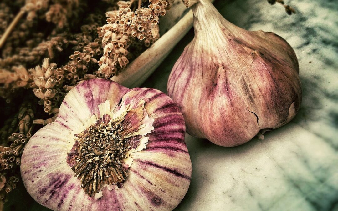 Légumes frais et surgelés : plus de nutrition pour votre corps