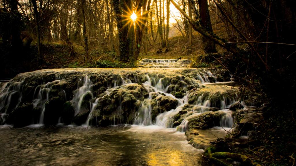 Rivière en forêt 